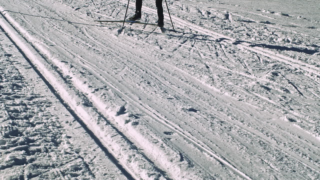 Closeup on Legs of People Skiing Up and Down Snowy Mountain
