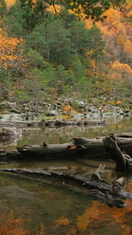 autumn lakeside scenery