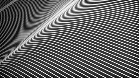 abstract wavy white lines on black background