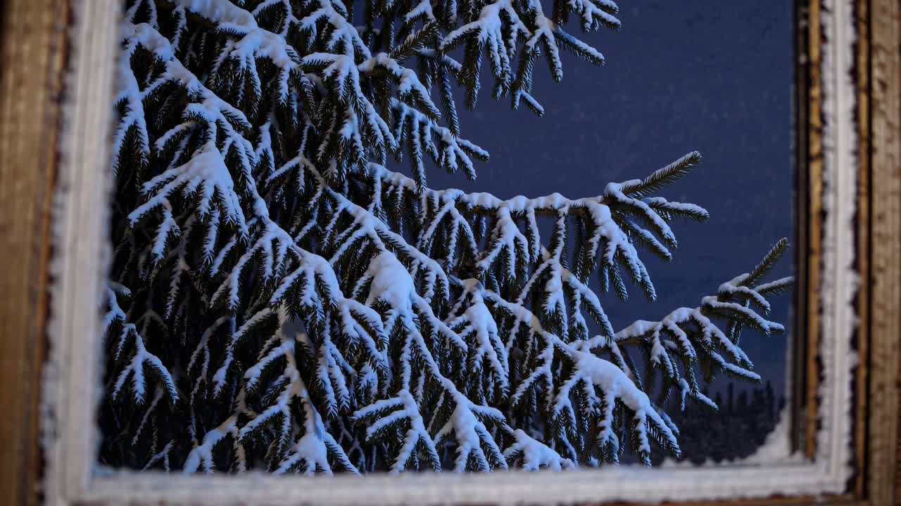 A snowy pine tree seen through a frosty window frame, captured from a low angle