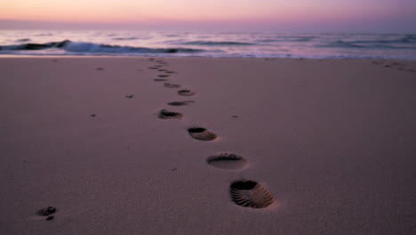 footprints in the sand at sunrise/sunset