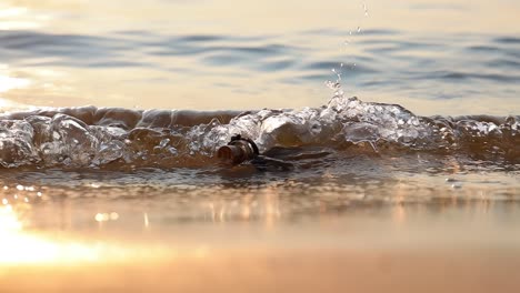 message in the bottle against the sun setting down