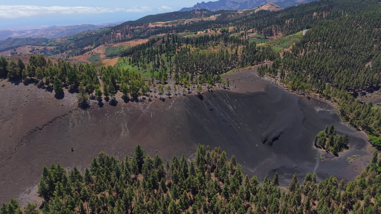 Canary pines growing on volcanic slopes of Black Mountain (Montañon Negro), revealing verdant landscape of Gran Canaria with expansive geological terrain under bright summer sunlight