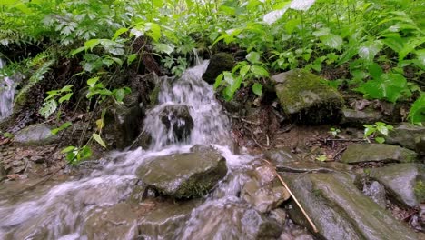 Stream-flowing-from-Forest-setting-near-asheville-nc,-north-carolina-off-the-blue-ridge-parkway