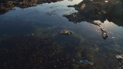 Shallow-water-lays-calm-in-pool-from-sea-tide-along-rocky-coast