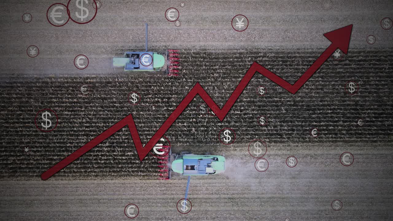 위에서 아래로 트랙터 수확 옥수수 농장 농장 그래픽 애니메이션으로 식품 가격의 증가로 인해 밀 공급이 열과 가 ⁇ 으로 인해 위험한 충격의 위험에 처해 있습니다.