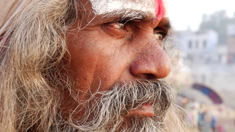 portrait of a holy indian sadhu