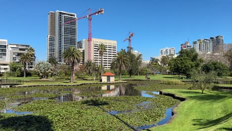 Queen's Gardens - lilies on lake and Perth CBD, Western Australia