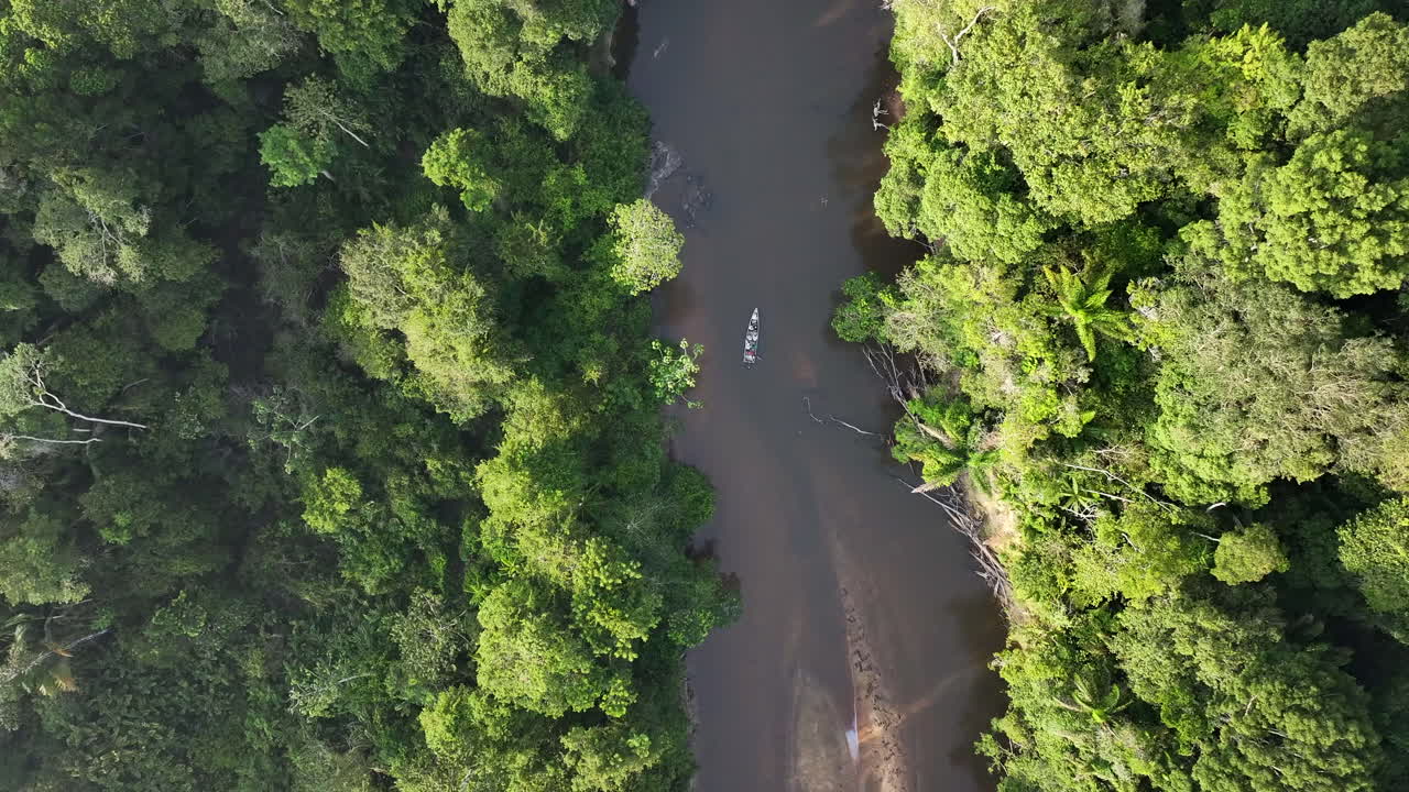el dron sigue a un barco en un río remoto, en lo profundo de la selva de guyana.