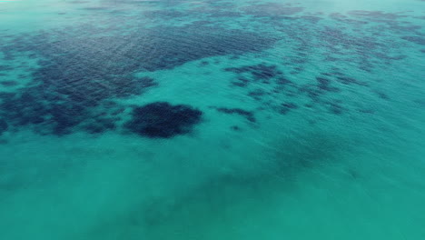 Vista-Aérea-De-Aguas-Turquesas-Poco-Profundas,-En-Nueva-Caledonia---Baja,-Plataforma-Rodante,-Disparo-De-Dron