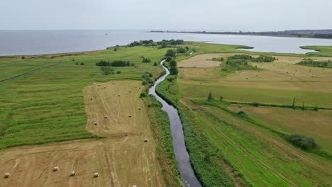 reveal shot of a river in polish nature reserve "beka"