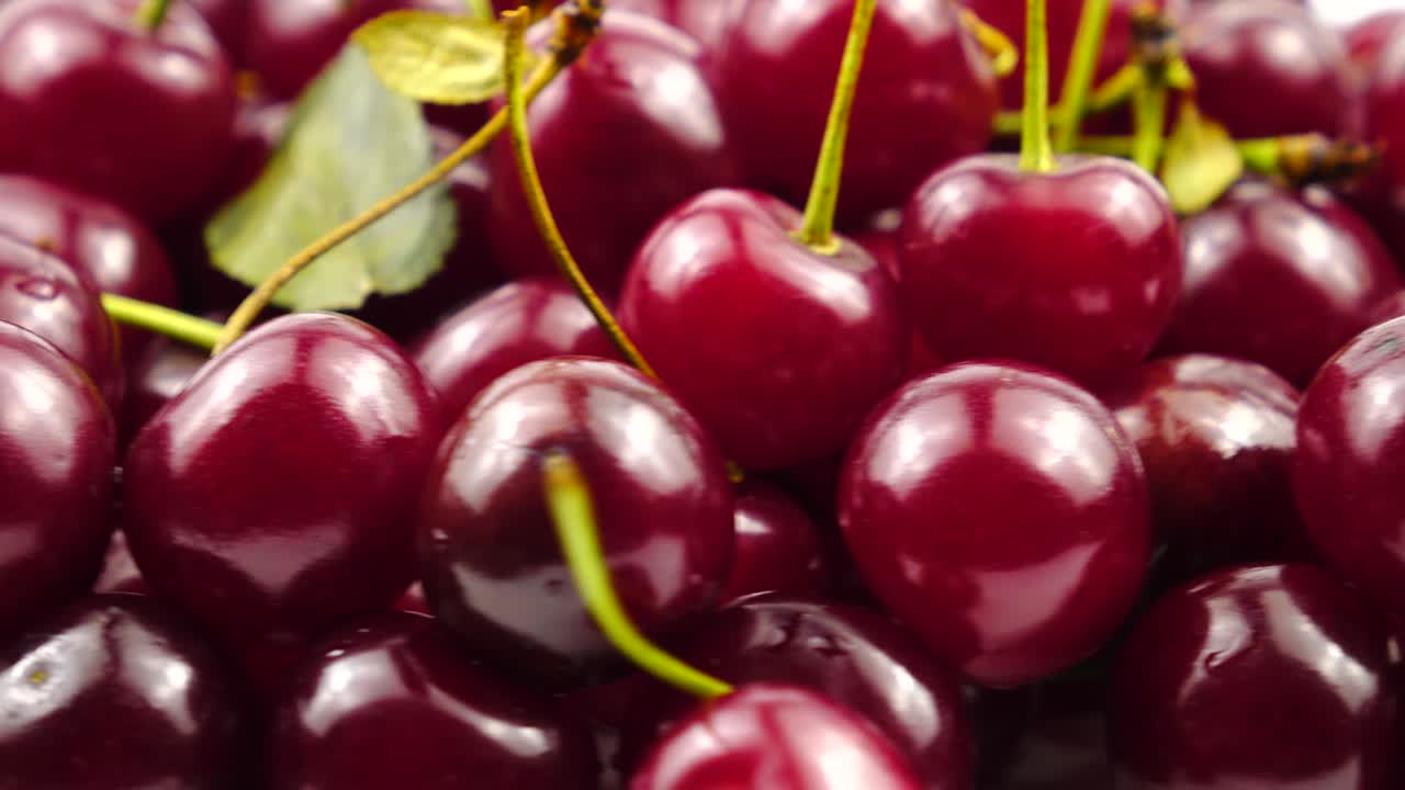 Heap of the freshly picked ripe red cherries, background