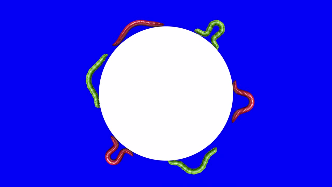 색 원 위의 애벌레와 벌레, 루핑 3d 애니메이션