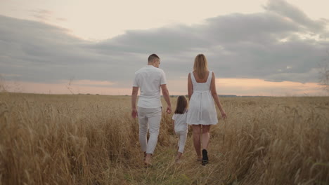 happy smiling family holding hands walking through golden field at sunset. happy family walking on meadow and playing.