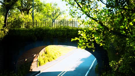 arch bridge with living bush branches in park