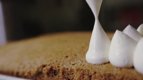 pastry chef squeezing icing onto cake.mp4