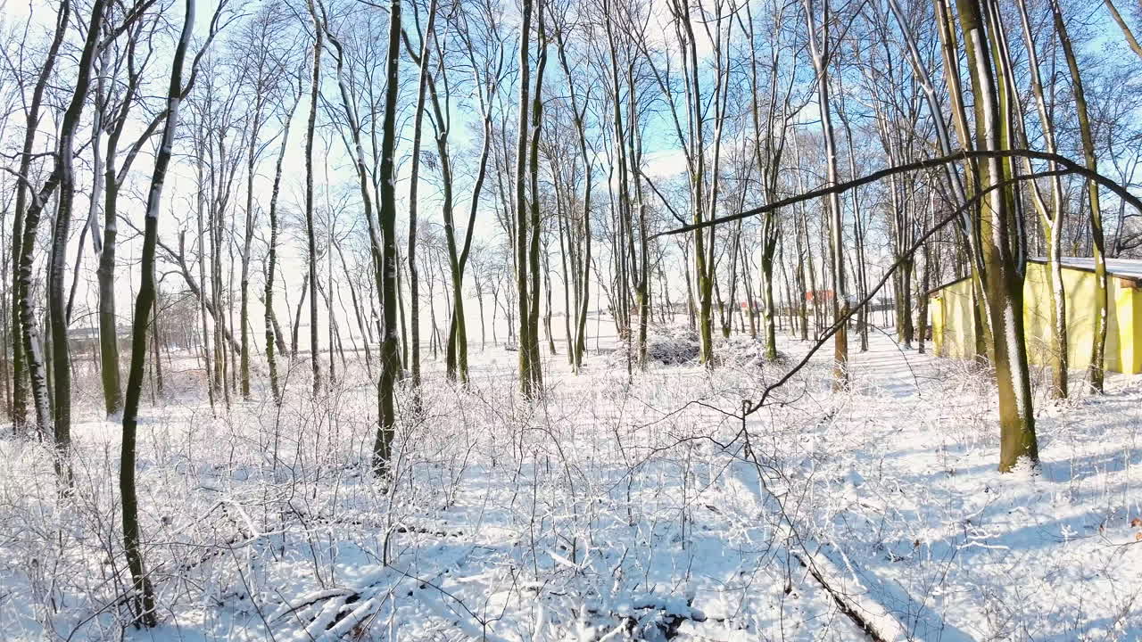 화창한 겨울날 나무가 있는 눈 덮인 공원