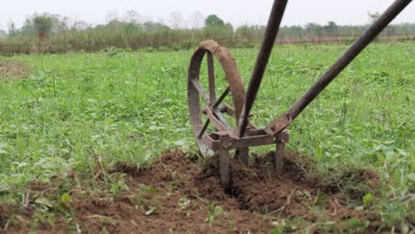 farmer cleaning chilli grass with hand machine