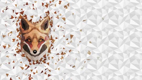 polygonal fox background. animal head. low polygon loop animation. geometric wildlife. polygonal animal portrait.