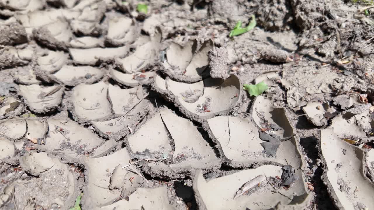 calentamiento global, catástrofe climática, tierra seca, vista de cerca