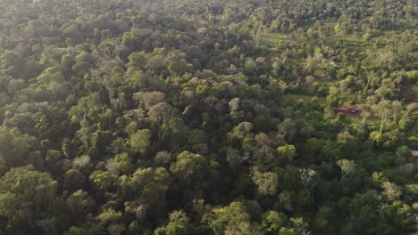 a dynamic aerial footage of the virgin forest in puerto iguazu of the mbya guarani aboriginal community, misiones province in argentina