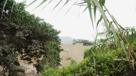 Tilting-down-shot-of-the-outdoors-of-an-abandoned-house-with-ranch-in-the-backyard-in-Ascope,-La-Libertad,-Peru-during-the-day