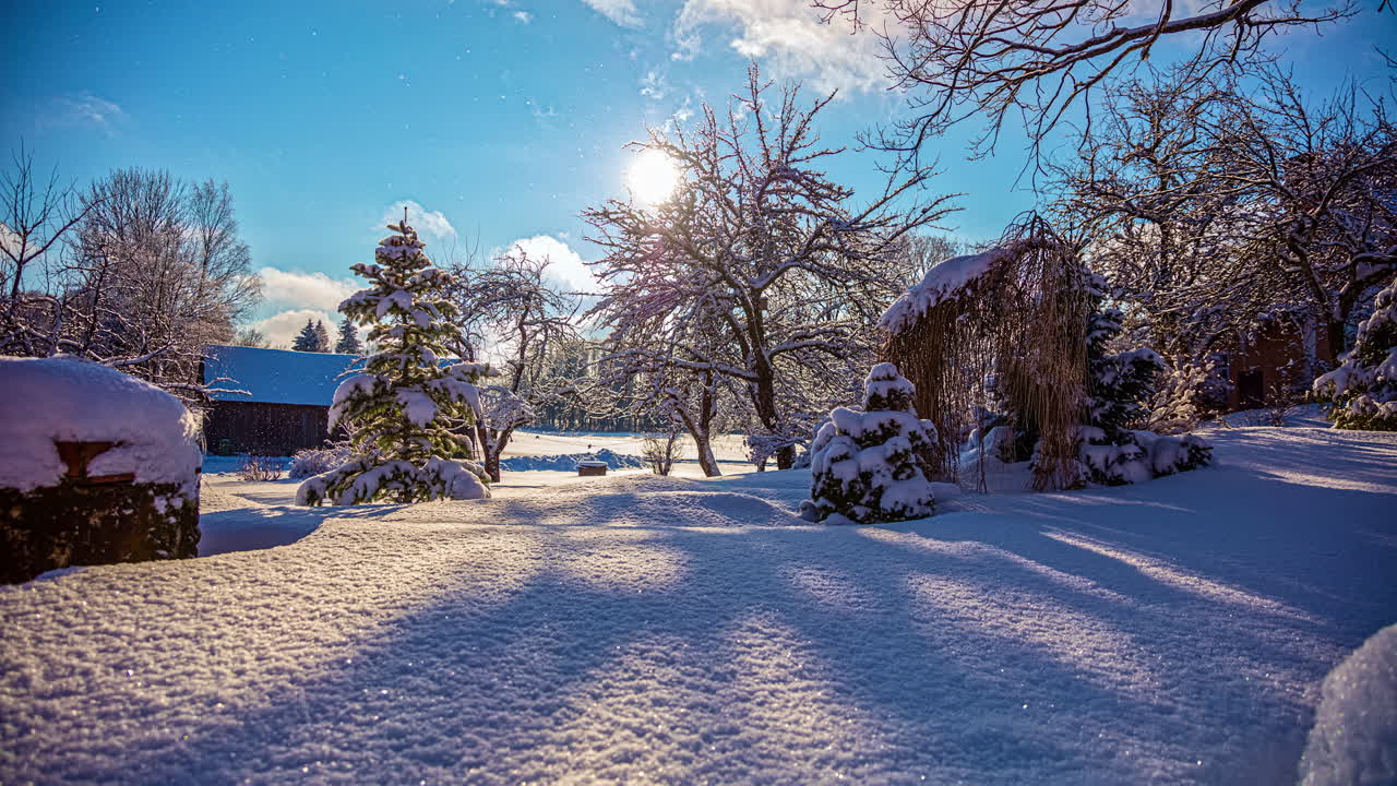 lapso de tiempo de jardín cubierto de nieve y árboles en invierno con cielo azul soleado