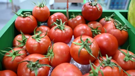 locally grown tomatoes are showcased and offered for sale at the agriculture festival in the uae