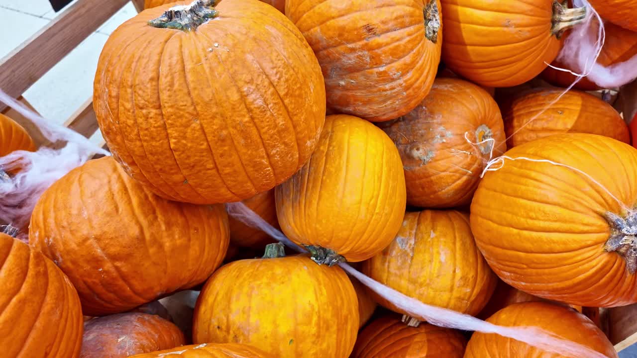 Close-up view from stacked orange pumpkins under sunlight at harvest market store