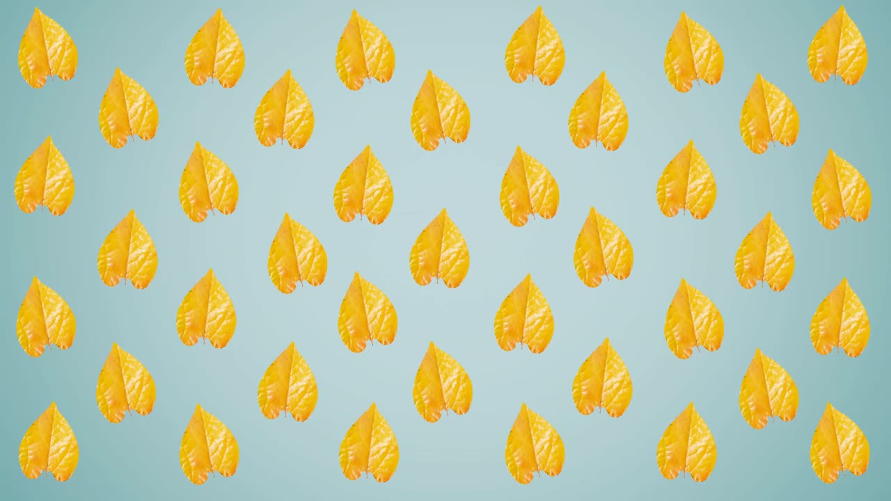 animación de filas de hojas amarillas de otoño sobre fondo azul