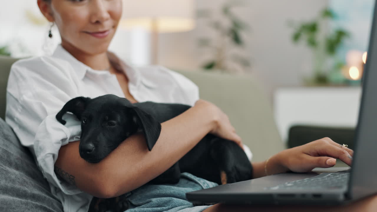 강아지 와 함께 집 에서 일 하는 여자