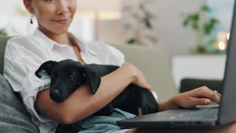 woman working from home with her puppy