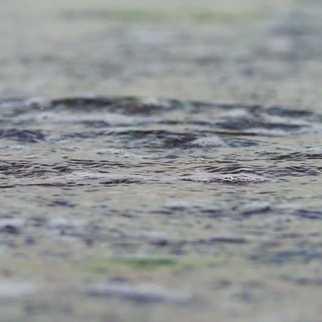 transparent wave in the sea