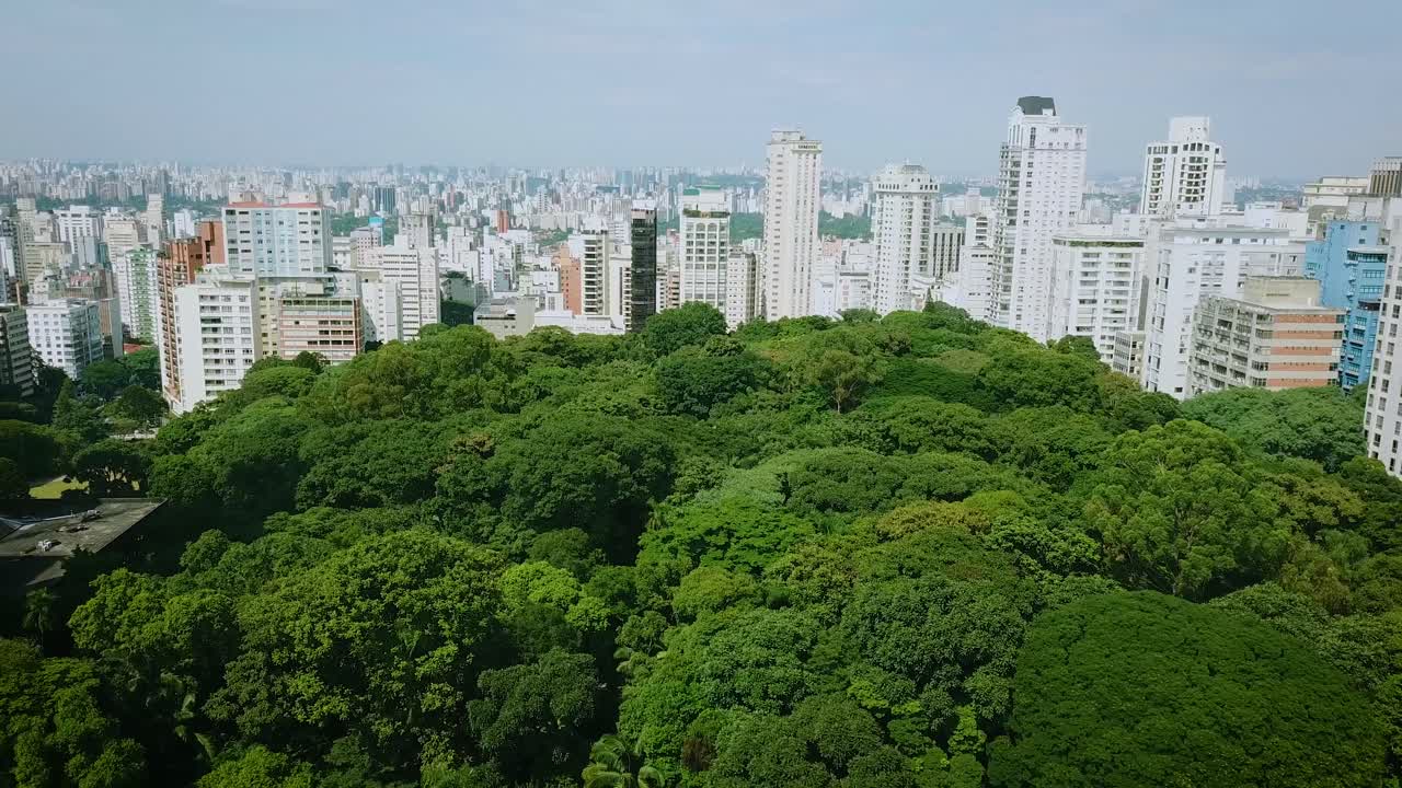 Belo parque no centro de São Paulo, tomada aérea