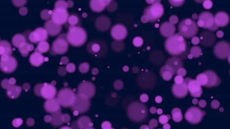 animación mosca resumen púrpura bokeh y partículas 1