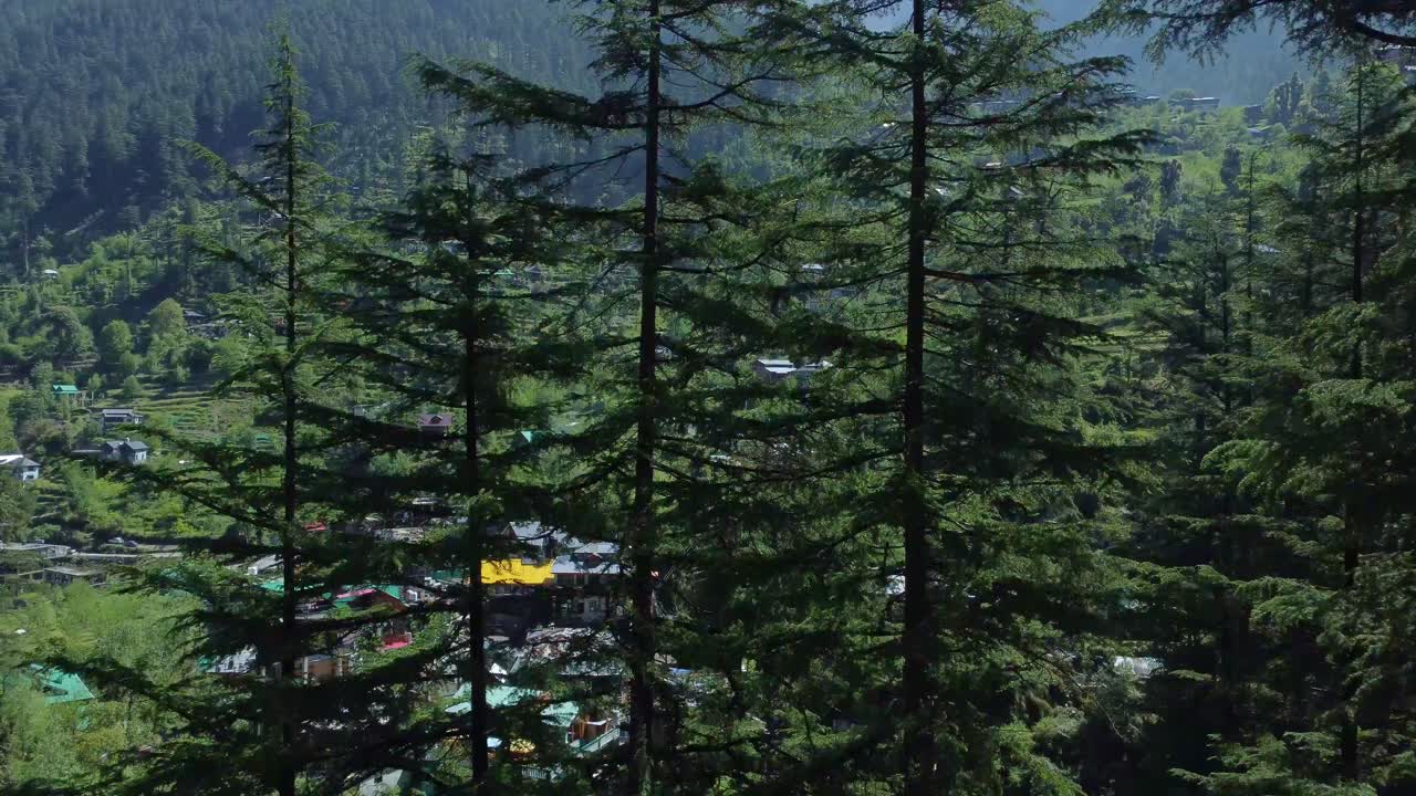 Aerial view short of Jibhi Himachal Pradesh in India. Houses and trees in the mountainous area. Faguli festival is one of the biggest festival in Jibhi. The traditional houses here have stone roofs.