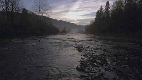 birds flying over a river at sunrise