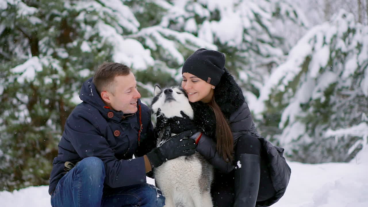 Family portrait of cute happy couple hugging with their alaskan malamute dog licking man's face. Funny puppy wearing santa christmas deer antlers and kissing woman. Freedom lifestyle pet lovers.