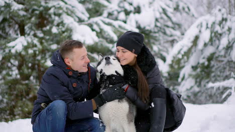 family portrait of cute happy couple hugging with their alaskan malamute dog licking man's face. funny puppy wearing santa christmas deer antlers and kissing woman. freedom lifestyle pet lovers.