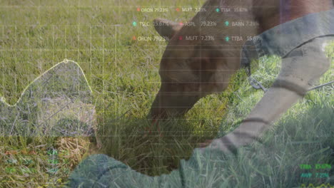 dog sniffing grass in outdoor park, with ar grid overlay and floating tech percentage labels