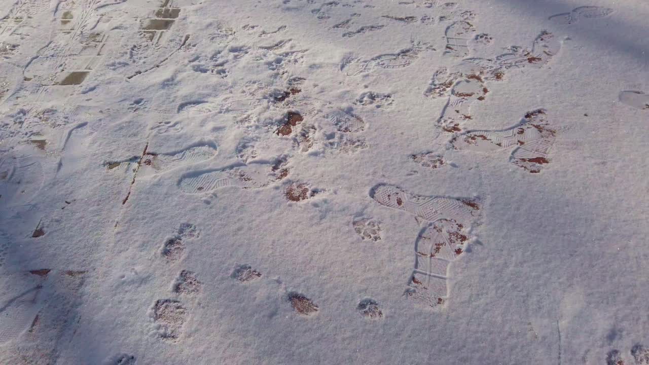 Prospettiva in prima persona di una passeggiata attraverso un sottile strato di neve invernale. Impronte di stivali visibili creano un percorso sul terreno ruvido. Ideale per transizioni stagionali e narrazioni di viaggio.