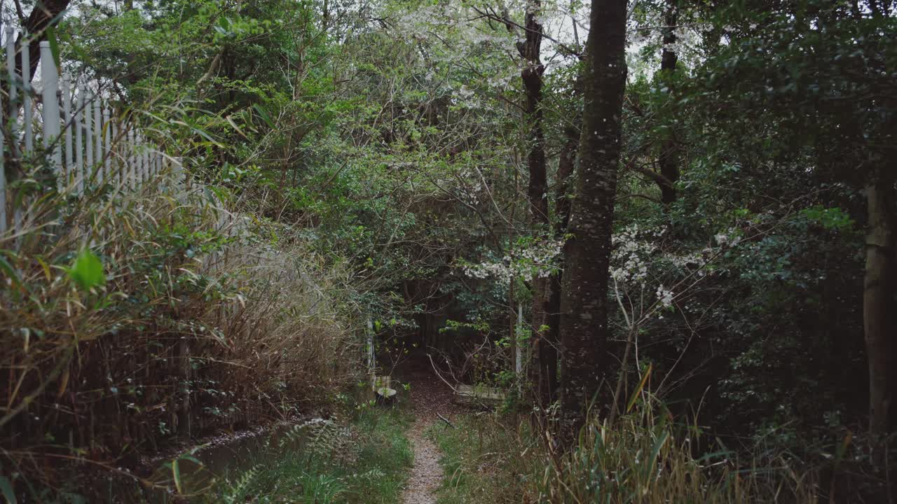 은 길이 울불한 푸른 숲을 가로질러 흐르고 있어 평온하고 평화로운 분위기를 조성한다.