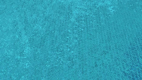 textura hexagonal de fondo acuático (con bucle)