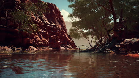 redwall reflection in colorado river