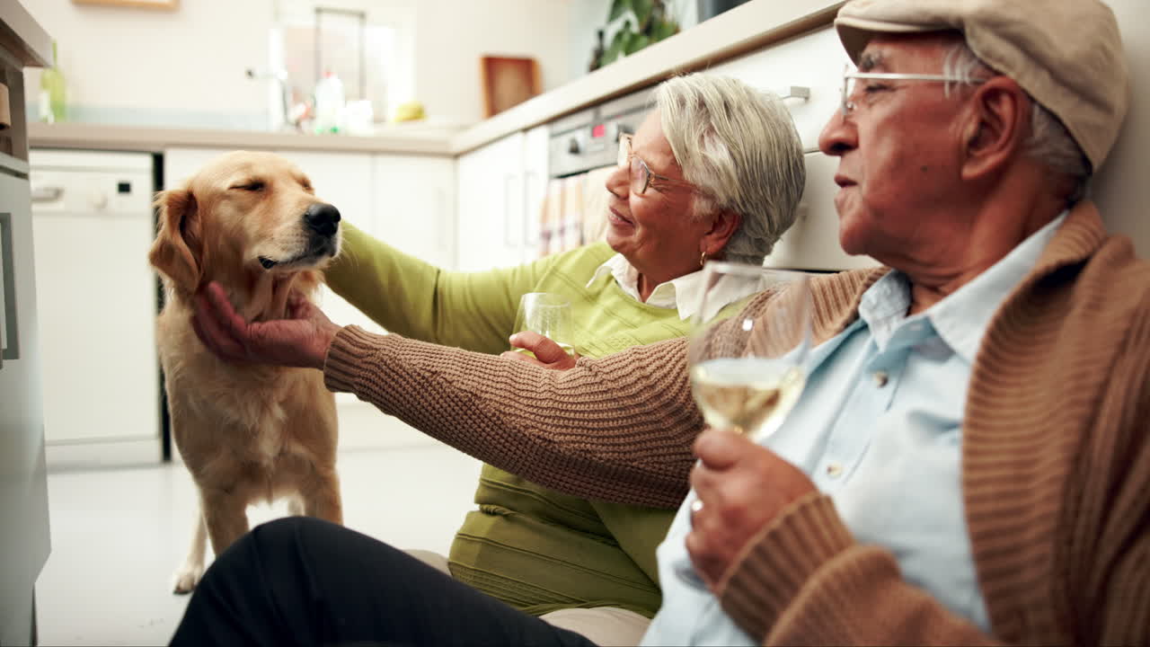 Elderly couple enjoying time with their dog in the kitchen