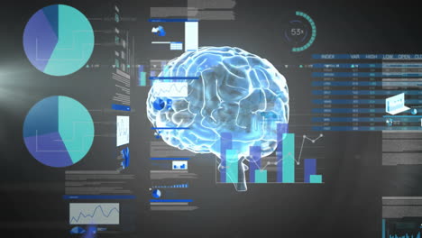 Animación-Del-Procesamiento-De-Datos-Financieros-Sobre-Cerebro-Digital-Sobre-Fondo-Negro