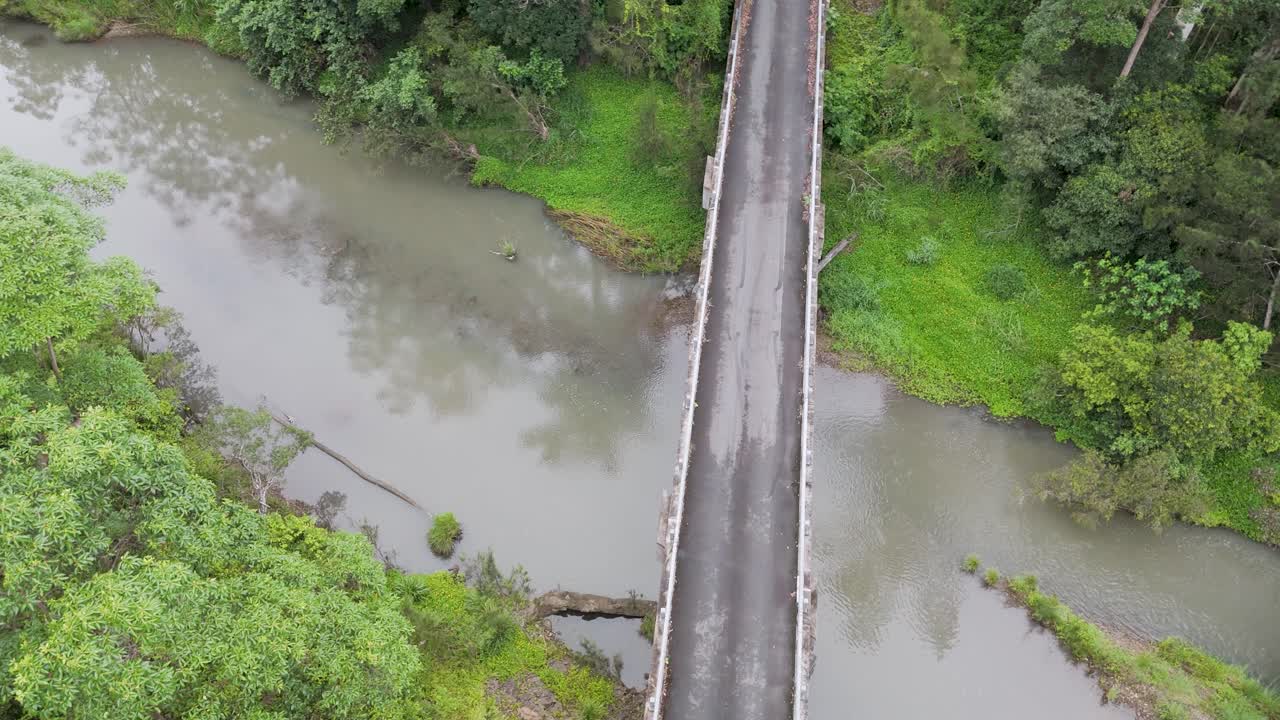 울창 한 숲 의 풍경 에 있는 하천 을 가로지르는 다리