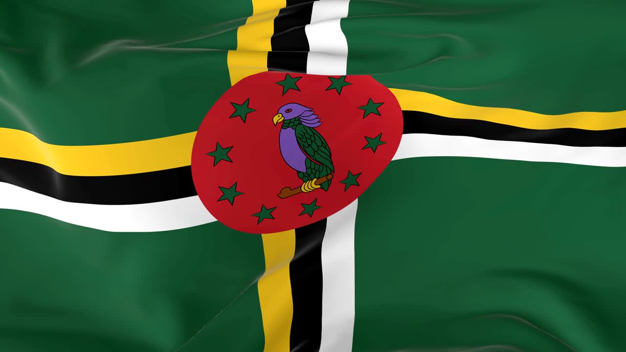 배경으로 루프 발을 흔들고 있는 도미니카