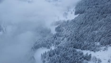 aerial dolly shot of a forest covered in snow in cloudy weather in the swiss alps