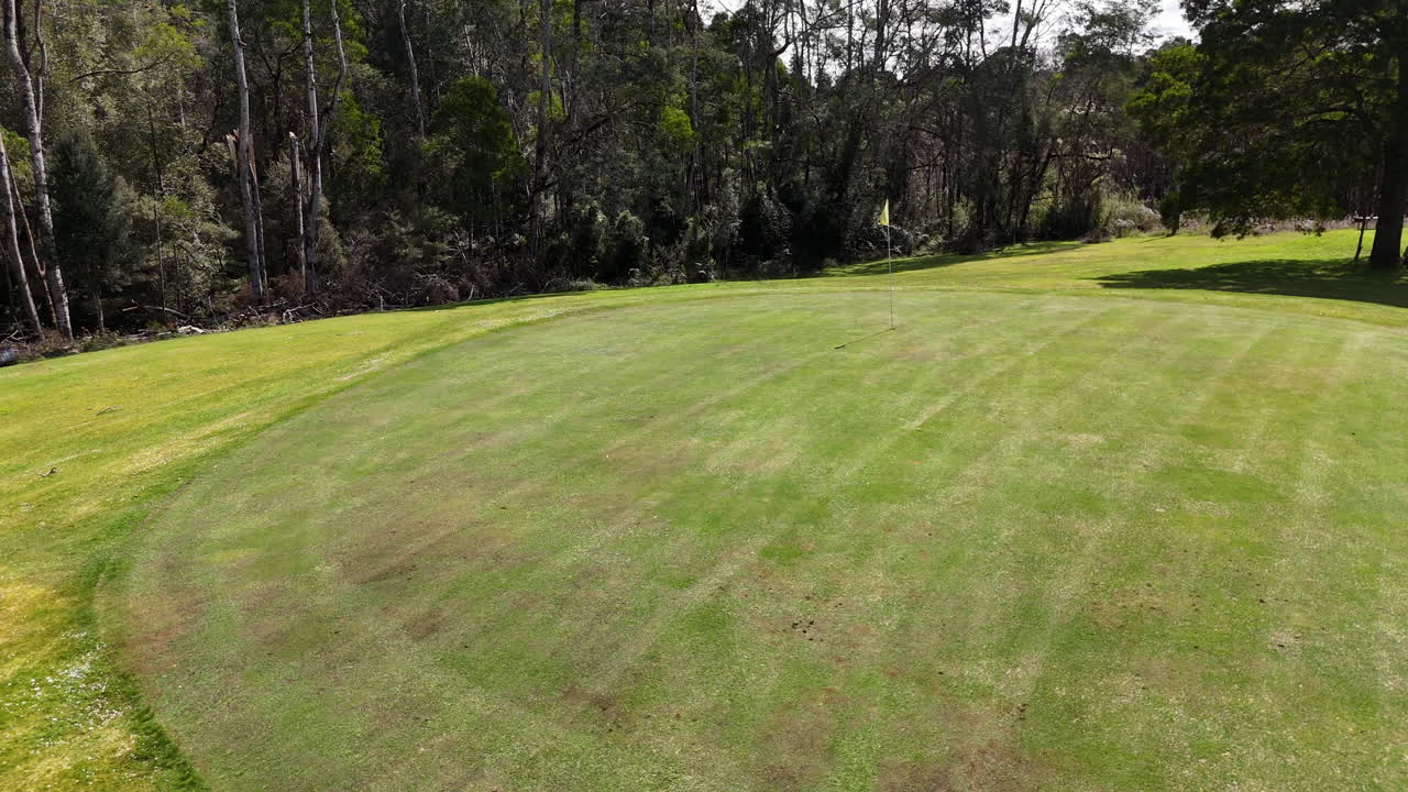 A beautiful putting green is showcased, featuring a flag positioned on the grass. Lush trees surround the green, enhancing the tranquil atmosphere in the midday light.